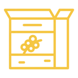 cereal boxes icon